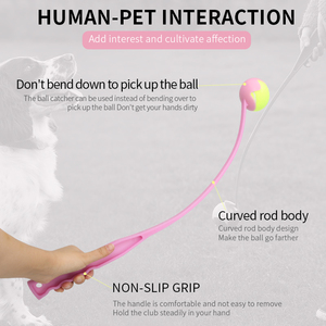 Giocattoli per animali domestici bastone da lancio per cani con pallina da Tennis per allenamento all'aperto giocattolo interattivo per animali domestici - Product Image 2
