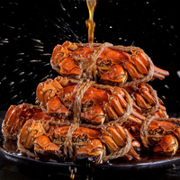 Crabe entier mariné au vin Hua Diao surgelé précuit avec pâte rouge Crabe prêt à manger