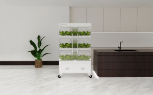 Suministros de Cultivo Hidropónico para el Hogar, Sistema Hidropónico Vertical Completo para Cultivar Vegetales, Sistema de Riego Hidropónico Sensh-50 - Product Image 5