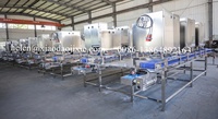 Machine à peler et à éviscérer les crevettes Xiaodao automatique en acier inoxydable SUS316 PDTO, haute capacité et rendement élevé