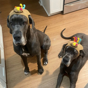 Chapeau pour animaux de compagnie en crochet fait main en forme de dinde, Nouvel accessoire pour animaux de compagnie pour Halloween, Casquette amusante pour déguisement de fête pour chat et chien, Coiffe de festival pour animaux de compagnie - Product Image 3