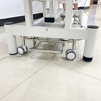 Table de physiothérapie Lit de massage Lits de beauté électriques Chaise médicale électrique Table de massage électrique Spa