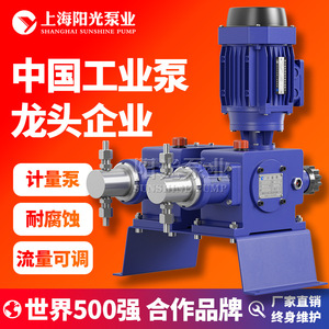 Bomba Dosificadora de Pistón Dz X2 de Acero Inoxidable con Motor de 400L/h de la Industria de Bombas Shanghai Sunshine para Pedidos Personalizados - Product Image 2