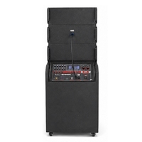 Enceinte de sonorisation portable CSW-5502 15 pouces avec microphones sans fil