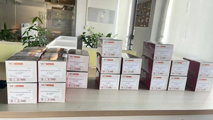 소 공장 직매 소 브루셀라 항체 신속 검사 키트 - Product Image 3