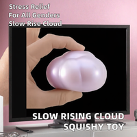 Jouet Squishy Nuage à Remontée Lente, Balle Anti-Stress Translucide en Gelée, Matériau TPR, Unisexe, pour les 14 ans et plus, Mini Fidget pour les Doigts, Soulagement du Stress