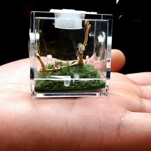 SPIDER Terrarium Acrylic bò sát chăn nuôi hộp nhảy Spider bao vây với kẹp nhỏ giọt ốc lồng Spider Acrylic chăn nuôi hộp - Product Image 3