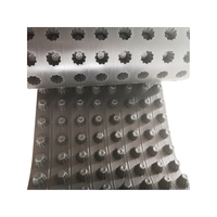 Planche de drainage en HDPE 8mm 10mm 12mm 16mm 20mm, plaque de drainage alvéolée pour toit, jardin, sous-sol