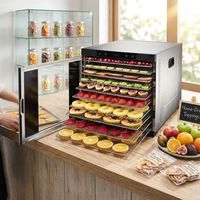 Déshydrateur alimentaire commercial à grande capacité avec 10 plateaux, puissance de qualité industrielle et minuterie numérique