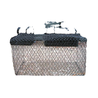 Filet résistant durable de cage de maille enduit de PVC pour des clôtures de volière de Gabion et d'oiseau