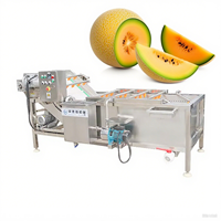 Automatische Saffraanreinigingsmachine Kruidenwasapparatuur