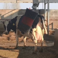Nouvel équipement de nettoyage pour ferme laitière en nylon, brosse automatique pour vaches, toilettage électrique rotatif pour bétail, pour étable laitière