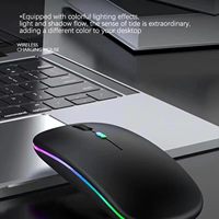 Souris sans fil ergonomique RGB 2,4 G pour ordinateurs portables Apple, vente en gros d'usine, souris de jeu mini rechargeable sans fil BT rétroéclairée