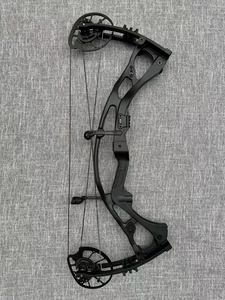 Nuovo Arco Compound da Tiro con l'Arco H21 - Product Image 3