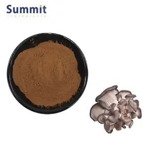 Hot Sale Oyster Mushroom Extract Powder 35% Glucan Oyster Mushroom Extract Glucan Powder Oyster Mushroom Extract