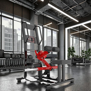 Équipement <span class=keywords><strong>de</strong></span> fitness commercial XinRui, entraînement musculaire assis, plaque <span class=keywords><strong>de</strong></span> poids, position debout, <span class=keywords><strong>poussée</strong></span> des hanches - Product Image 3