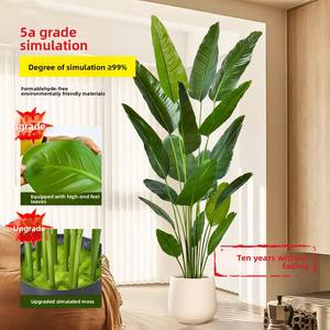 <span class=keywords><strong>Piante</strong></span> di Palma <span class=keywords><strong>Artificiali</strong></span> <span class=keywords><strong>da</strong></span> Fabbrica di Alta Qualità in Offerta Speciale, Albero Finto Realistico in Vaso per Decorazione Interna ed Esterna - Product Image 2