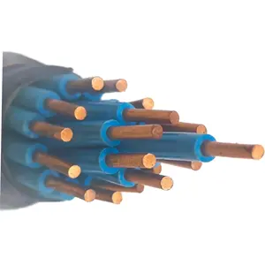 Hot Sale Good Price Copper Conductors Pvc Insulated Multicore System Dc Control Canble