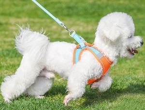 Ensemble harnais <span class=keywords><strong>pour</strong></span> petits chiens réglable harnais <span class=keywords><strong>pour</strong></span> chiot chat gilet bouledogue français <span class=keywords><strong>Chihuahua</strong></span> carlin <span class=keywords><strong>laisse</strong></span> de marche en plein air - Product Image 6