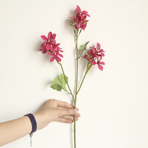 Orquídeas artificiales para decoración del hogar, <span class=keywords><strong>refracta</strong></span> de seda, gran oferta - Product Image 6