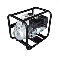 Pompe à eau à essence EAGLE POWER WP30, système d'irrigation métallique, entraînement par moteur pour usage agricole
