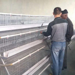 Cages à poules pondeuses en acier galvanisé, prix d'usine bon marché - Product Image 1