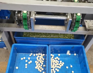 新鮮な蓮の種砲撃機蓮の芯除去ナッツピーリングポッピング処理蓮の核分離抽出器 - Product Image 5