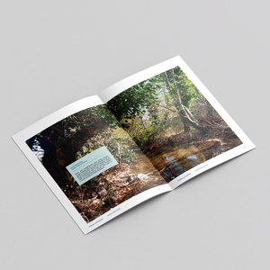 Catálogo personalizado Perfect Bound Books Offset Paper Matt Paper Fotografía, Portafolio, Obra de arte - Product Image 1