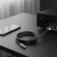 Câble audio USB Type-C vers double RCA avec âme en cuivre émaillé et gaine extérieure en PVC pour haut-parleur, amplificateur HDTV, lecteur DVD