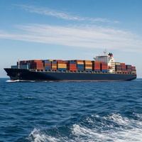 Service de Fret Maritime LCL de Shenzhen à Durban DDP DDU Consolidation d'Entrepôt FBA Fret Étiqueté
