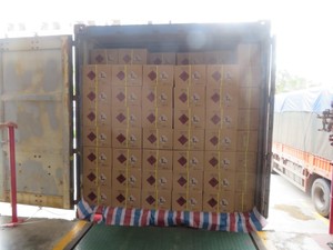 Colla per Carpentieri OEM TIPO <span class=keywords><strong>99</strong></span> all'Ingrosso per Gomma, Pelle, Tessuto, Calzature, Edilizia, Decorazione - Product Image 4