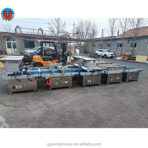 Machine à semer les graines compatible avec les plateaux de taille multiple pour les pépinières automatiques de <span class=keywords><strong>semis</strong></span> dans des plateaux vides. - Product Image 6