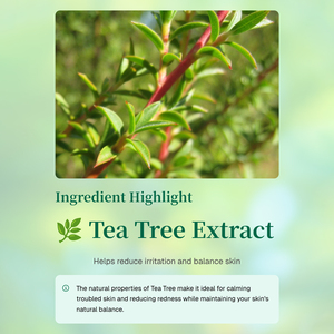 แผ่นมาส์กหน้าสำหรับต้นชาสินค้าตราเอกชนชุดมาส์ก20แผ่นสำหรับทุกสภาพผิวช่วยผ่อนคลายและให้ความชุ่มชื่น - Product Image 3