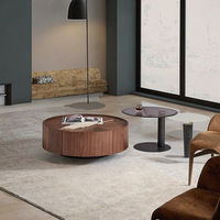 Table basse de style italien minimaliste moderne et durable avec rangement, combinaison de couleurs noyer, pour petit appartement, mobilier de salon