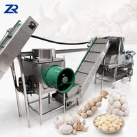 Ligne de production complète entièrement automatique pour l'épluchage des gousses d'ail avec chaîne entraînée