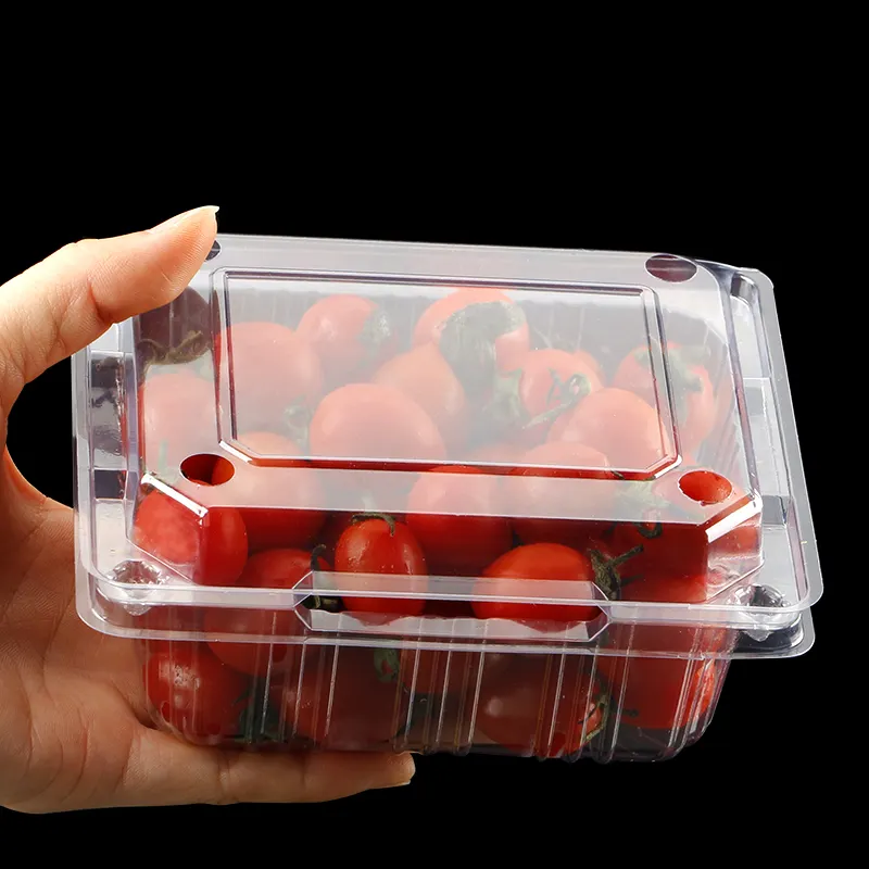 Einweg-Verpackungs box für durchsichtige Kunststoff-Blister-Clamshell-Obst gemüse behälter