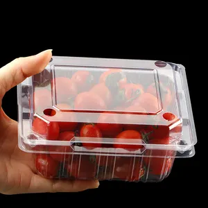 Blister Packaging Clear 175x135x75mm Plastic Clamshell Food Containers For Blueberry Cherry Strawberry Fruit BOX