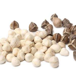 HL- Cold pressed Moringa oleifera minyak biji murni pemasok, 1kg, grosir minyak Moringa organik Virgin untuk wajah, Rambut & kulit | Tidak halus - Product Image 4