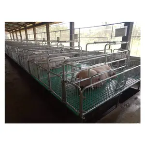 เดี่ยวประเภท Farrowing ยกลังเพาะพันธุ์หมูปากกาหมูอุปกรณ์การเกษตรหมู