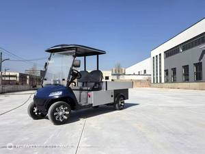 Voiturette de golf classique 2 places 2025 avec phares LED, vitesse 30 km/h, autonomie 30-50 km, batterie 48V, homologuée EEC/DOT/CE/GCC, modèle 202 - Product Image 3