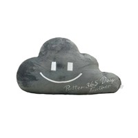 Nouveauté Oreillers en peluche nuage gris ultra doux en flanelle avec broderie sourire, coussin confortable, décoration d'intérieur