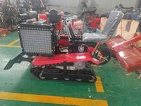 Herramientas y Equipos Agrícolas, Precio de la Motocultor Rotatorio con Varios Implementos en Venta