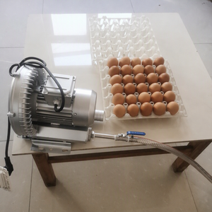 Nuova Macchina per la Codifica Sottovuoto delle Uova 220V, Macchina per la Cottura Sottovuoto delle Uova Compatibile con Incubatrici per Uova, Macchinari per l'Allevamento di Bestiame - Product Image 2