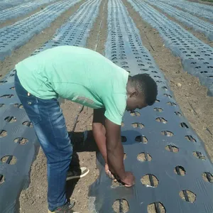农业农场塑料打孔黑色地膜用于蔬菜草莓地膜