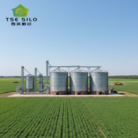 Sistema di Silos per Cereali di Grande Capacità con Essiccatore