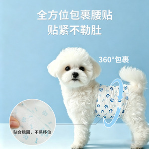 Pañales para mascotas para perros hembras en celo, transpirables, a prueba de fugas, 10-12 piezas, suministros para perros de algodón puro - Product Image 3