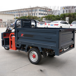 Hete verkoop 1000W vracht driewielige elektrische driewieler voor gebruik op de boerderij elektrische driewieler motorfiets - Product Image 1