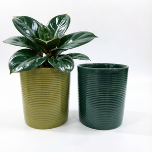 Pots à fleurs <span class=keywords><strong>en</strong></span> céramique côtelée minimalistes de qualité supérieure, nouvelle arrivée, pour la maison moderne et les plantes d'intérieur, les succulentes et les plantes vertes - Product Image 1
