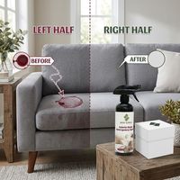 Spray d'urgence anti-taches pour tissus – Éliminateur rapide de taches d'huile, de boissons et d'aliments pour canapé, tapis, rideau, siège de voiture, sellerie – Protège les fibres