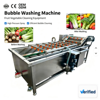 Automatische fruitwasser met oranje citroen groente transportband, luchtbel waterwasmachine, CE-certificering